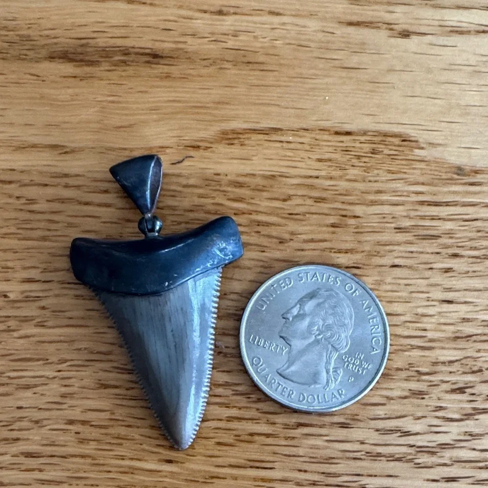 Stauer Men's Black Shark Tooth Pendant in Sterling Silver Setting NO CHAIN - Picture 5 of 6